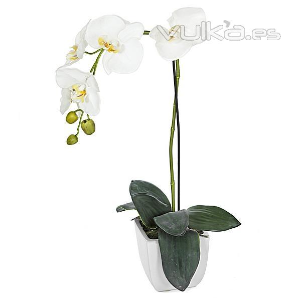 Planta artificial phalaenopsis crema en La Llimona home