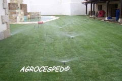 Riegos jardin cesped natural agrocesped