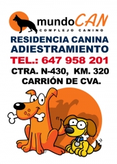 Gasset veterinarios ciudad real: clinica veterinaria mas en http://wwwgassetveterinarioscom