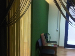 Pared interior en tono verde, oficina palma-