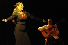 Barcelona flamenco - foto 14