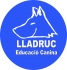 Lladruc