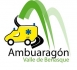 AMBULANCIAS AMBUARAGON