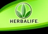 distribuidor independiente herbalife