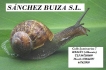 SÁNCHEZ BUIZA S.L.L