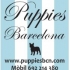 Puppies bcn