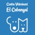 CENTRE VETERINARI EL CABANYAL