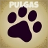 PELUQUERIA CANINA PULGAS