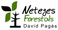 Neteges Forestals David