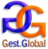 GEST GLOBAL SEGUROS Y NEGOCIOS