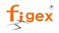 FIGEX