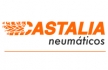 CASTALIA NEUMÁTICOS