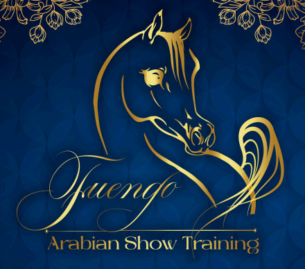 Fuengo Arabian Show Training