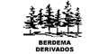 BERDEMA DERIVADOS