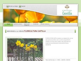 FLORICULTURA CASTILLA