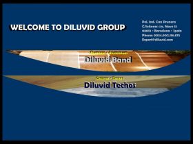 DILUVID GROUP