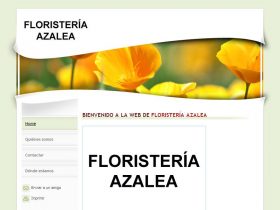 FLORISTERÍA AZALEA