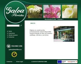 GALVA FLORISTAS