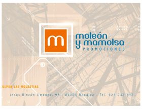 EMPRESAS MOLEÓN