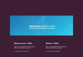 BRINVEST DETECTIVES