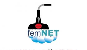 FEM NET