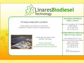 LINARES BIODIESEL TECHNOLOGY