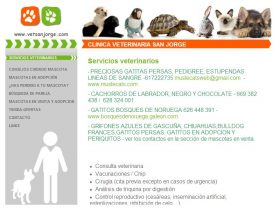 CLÍNICA VETERINARIA SAN JORGE